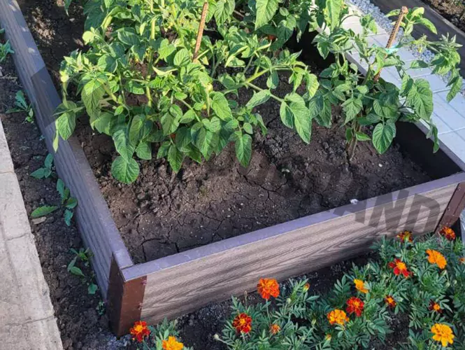 Грядки из ДПК для большого урожая